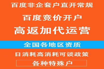 百度竞价广告投放策略分享